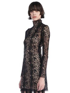 Alexander Wang Lace Dress